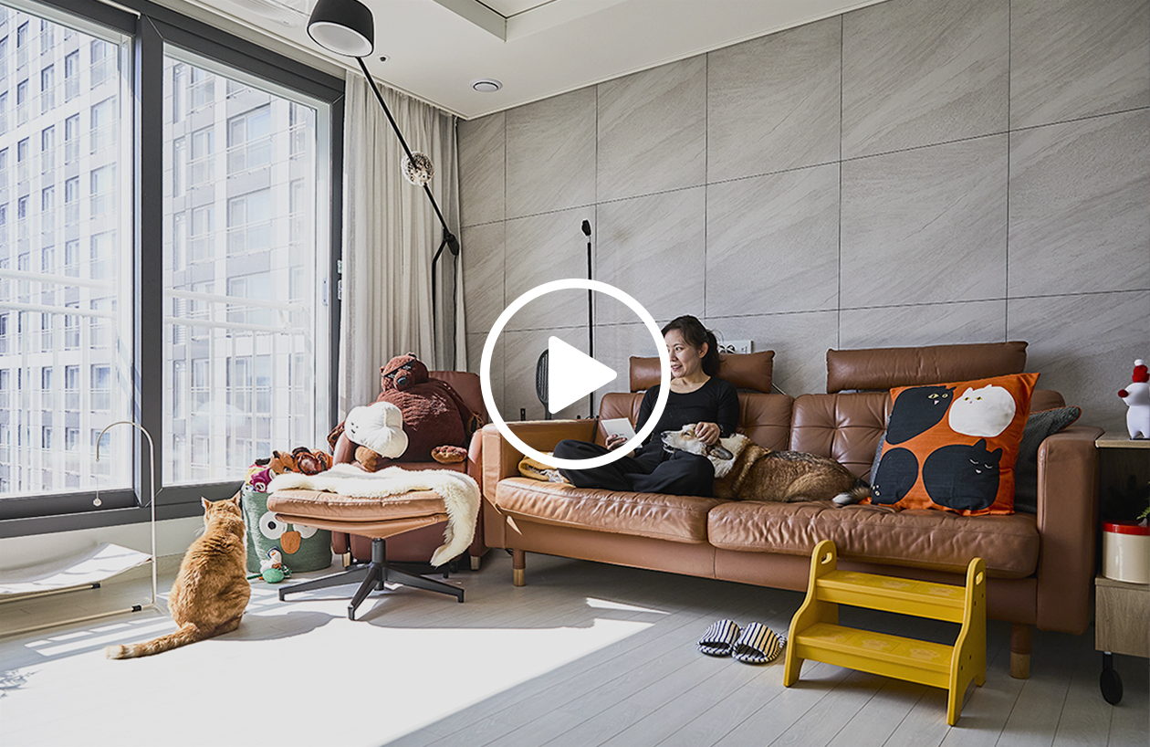 YouTube 영상 재생